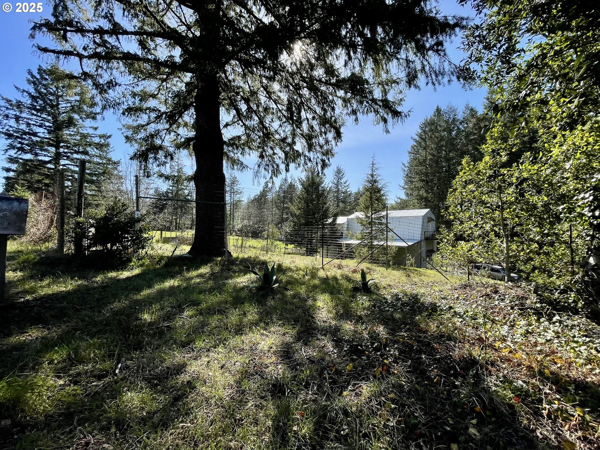 99337 South Bank Chetco River Road Brookings, OR 97415 - Photo 2 of 42 View