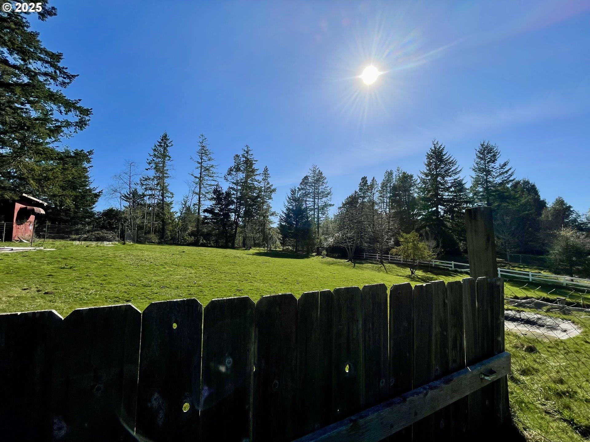 99337 South Bank Chetco River Road Brookings, OR 97415 - Photo 4 of 42 Backyard