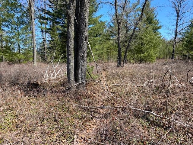 West Ausable Point Road East Tawas, MI 48730 - Photo 19 of 25