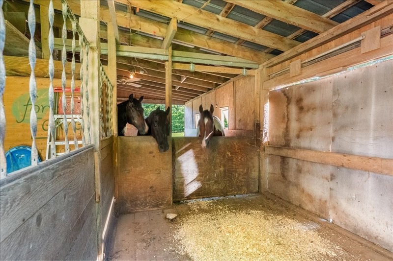41 Tiona Road Maine, NY 13802 - Photo 42 of 50
