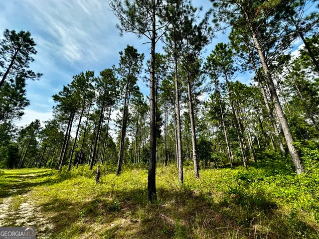 $428,328 | 0 Old Prison Camp Road, McRae-Helena, GA 31055