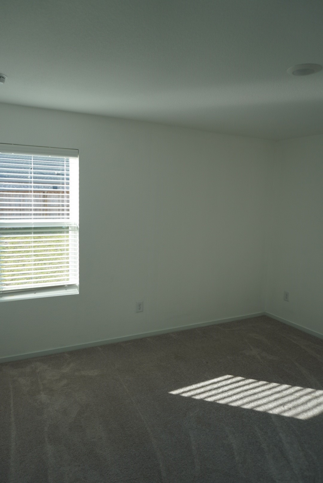 16803 Great Stable Way Hockley, TX 77447 - Photo 9 of 22