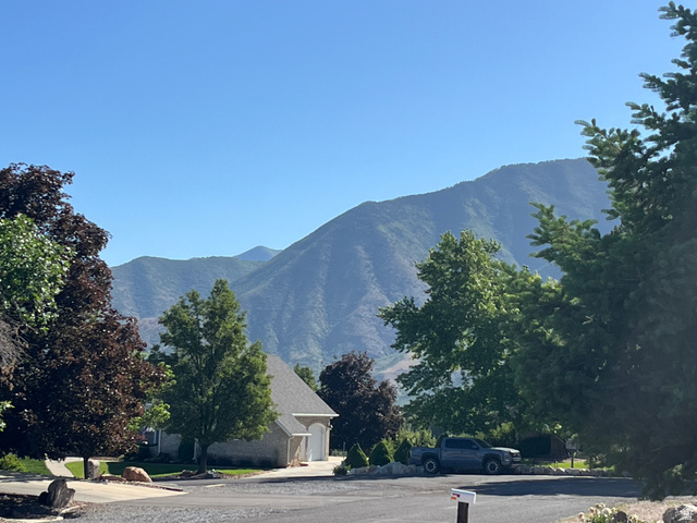 684 East Bridger Lane Elk Ridge, UT 84651 - Photo 47 of 48