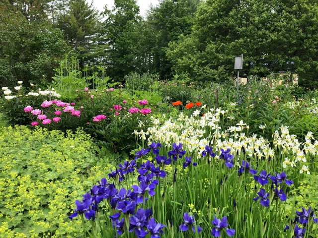 $2,395,000 | 719 Walker Hill Road, Barnard, VT 05068