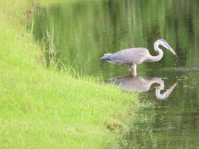 $2,395,000 | 719 Walker Hill Road, Barnard, VT 05068