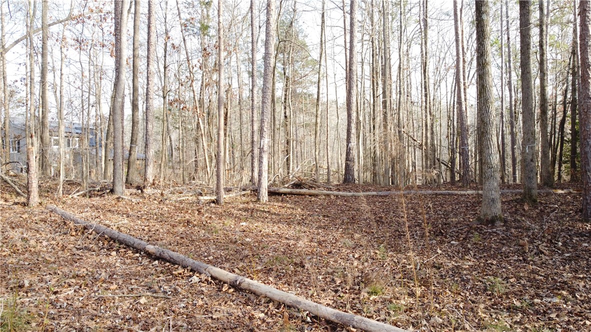 301 Riverbend Road Fair Play, SC 29643 - Photo 26 of 35