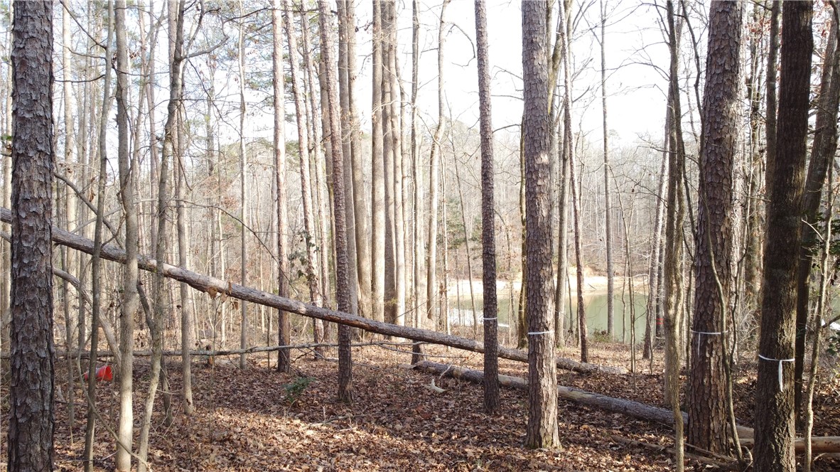 301 Riverbend Road Fair Play, SC 29643 - Photo 30 of 35