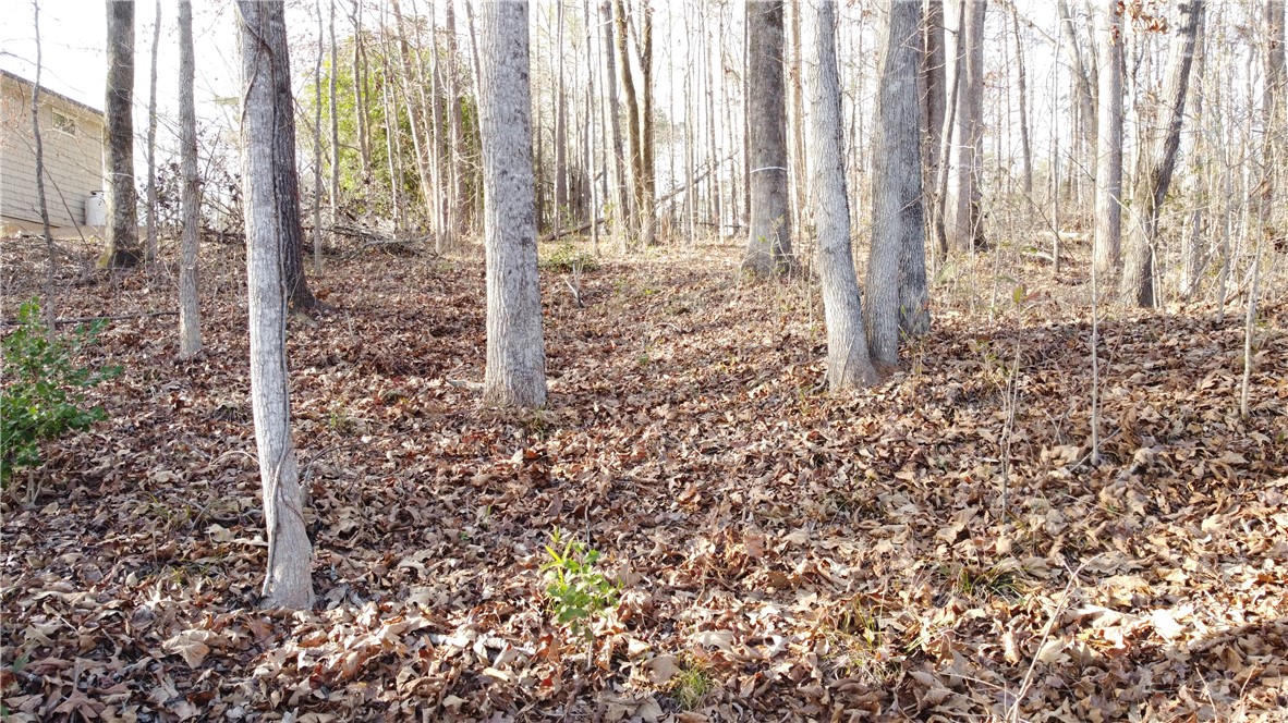 301 Riverbend Road Fair Play, SC 29643 - Photo 31 of 35