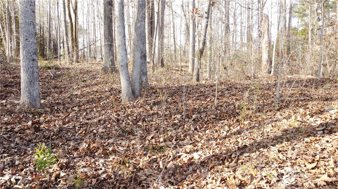 301 Riverbend Road Fair Play, SC 29643 - Photo 32 of 35