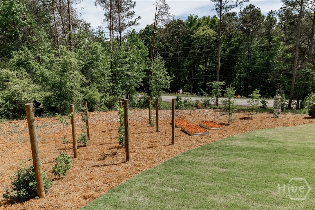 4085 South Barnett Shoals Road Athens, GA 30605 - Photo 59 of 75 Gallery Image 59