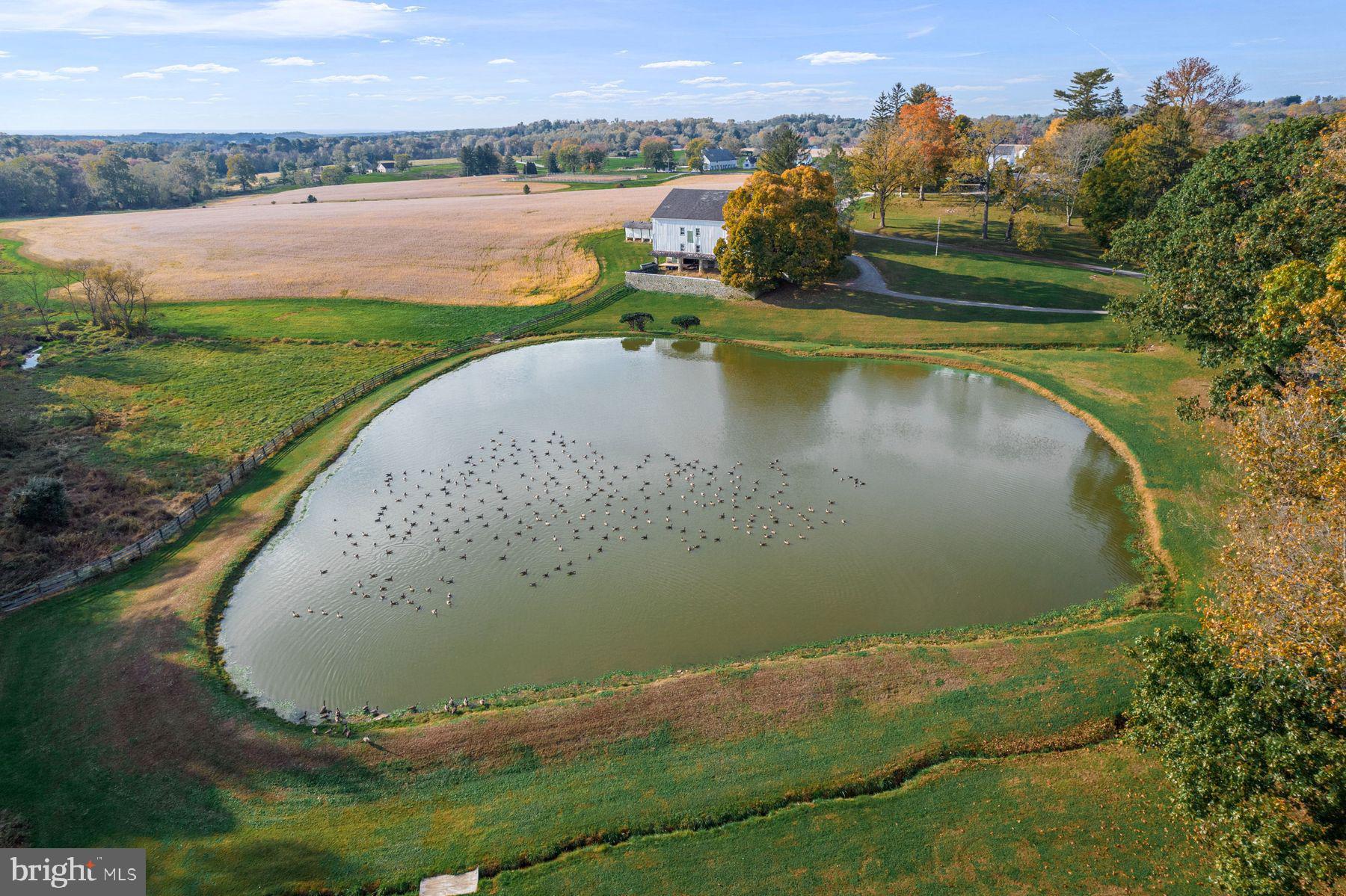 501 West Street Road West Chester, PA 19382 - Photo 5 of 17
