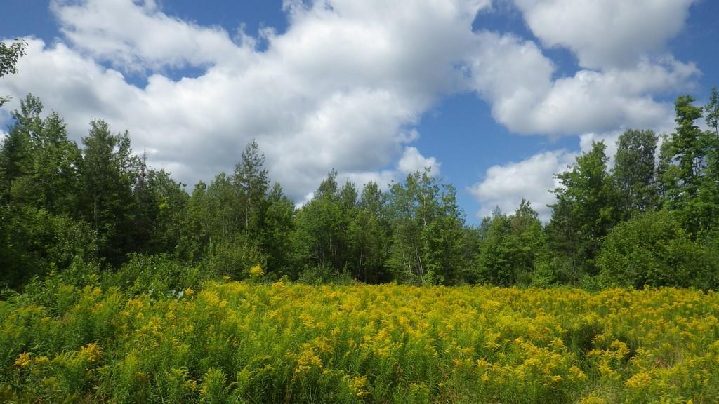 16 Cross Road Greenbush, ME 04418 - Photo 32 of 33 Photo
