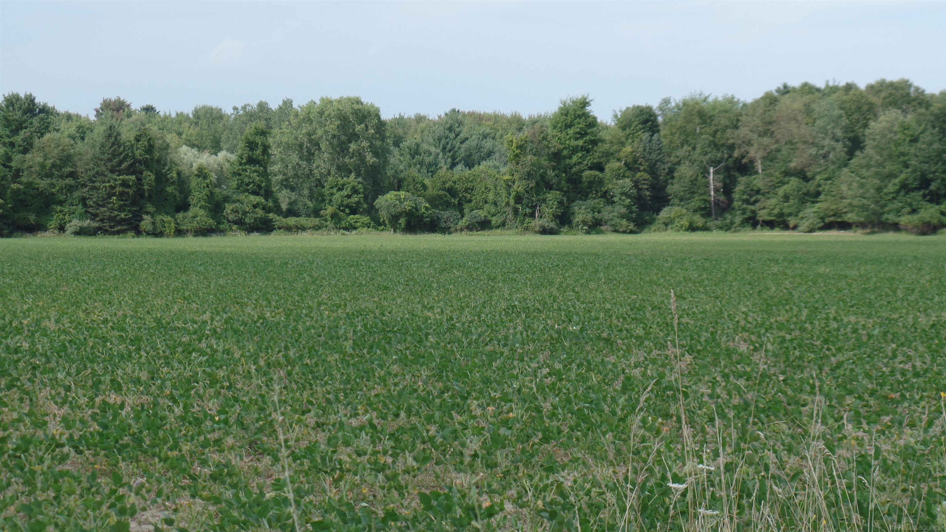 0 French Line Road Carsonville, MI 48419 - Photo 18 of 25