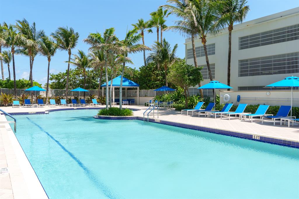 6001 North Ocean Drive, Unit 403 Hollywood, FL 33019 - Photo 39 of 58 a view of a swimming pool with a lawn chairs under palm trees
