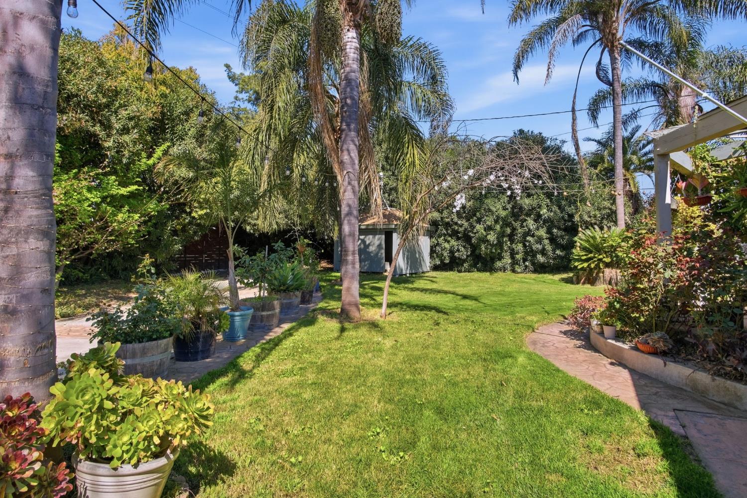 6176 Fleming Road Atwater, CA 95301 - Photo 28 of 41 a view of a backyard with plants