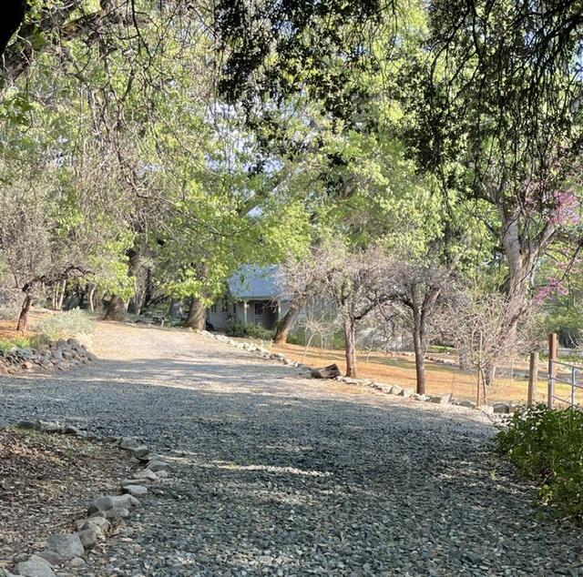 46967 Blue Ridge Drive Springville, CA 93265 - Photo 8 of 63