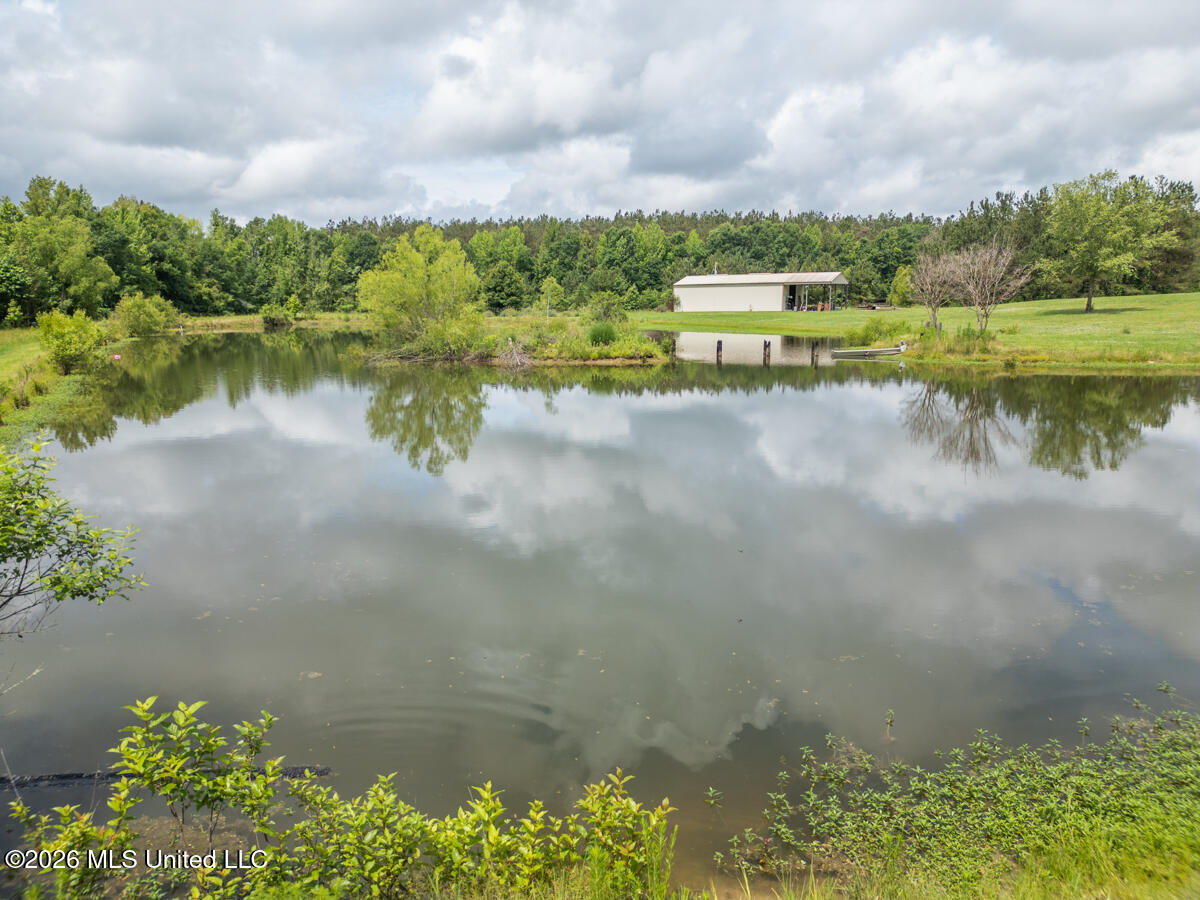 1529 Lower Milligan Springs Road Kilmichael, MS 39747 - Photo 33 of 46 DJI_0015