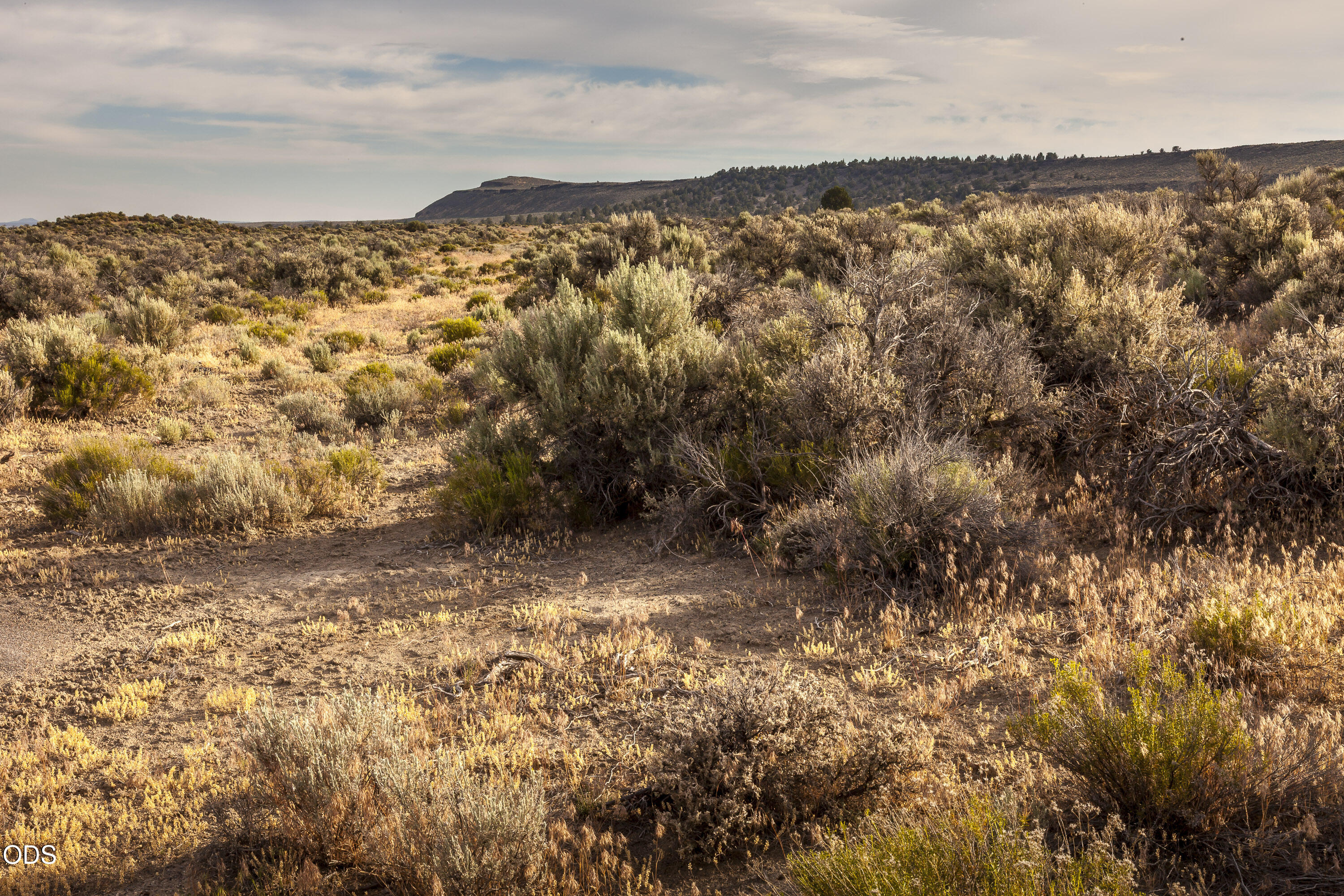 0 Buffalo Wells Road Christmas Valley, OR 97641 - Photo 17 of 19