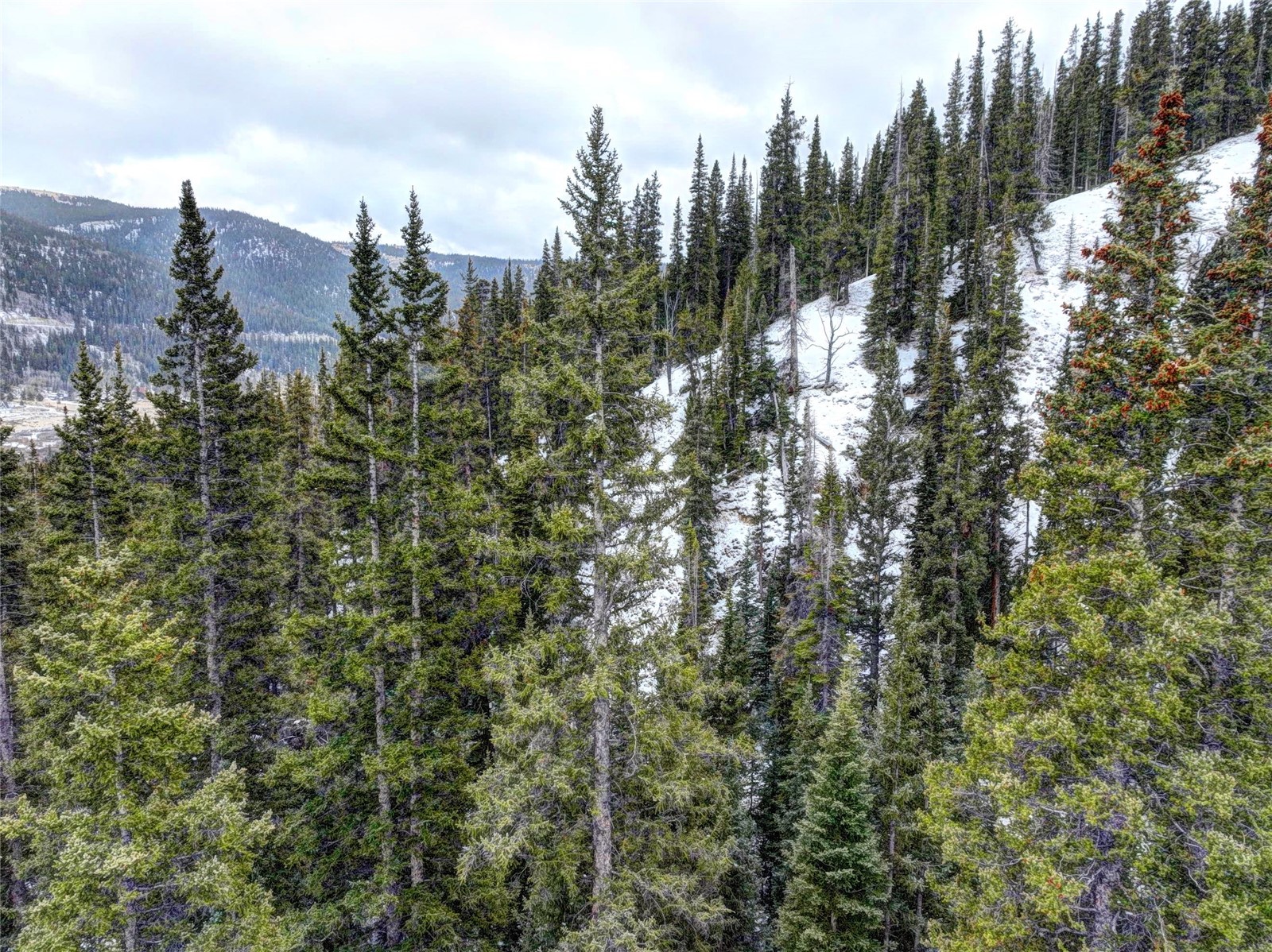 491 Mine Dump Road Alma, CO 80420 - Photo 8 of 14 View of nature with a mountain view