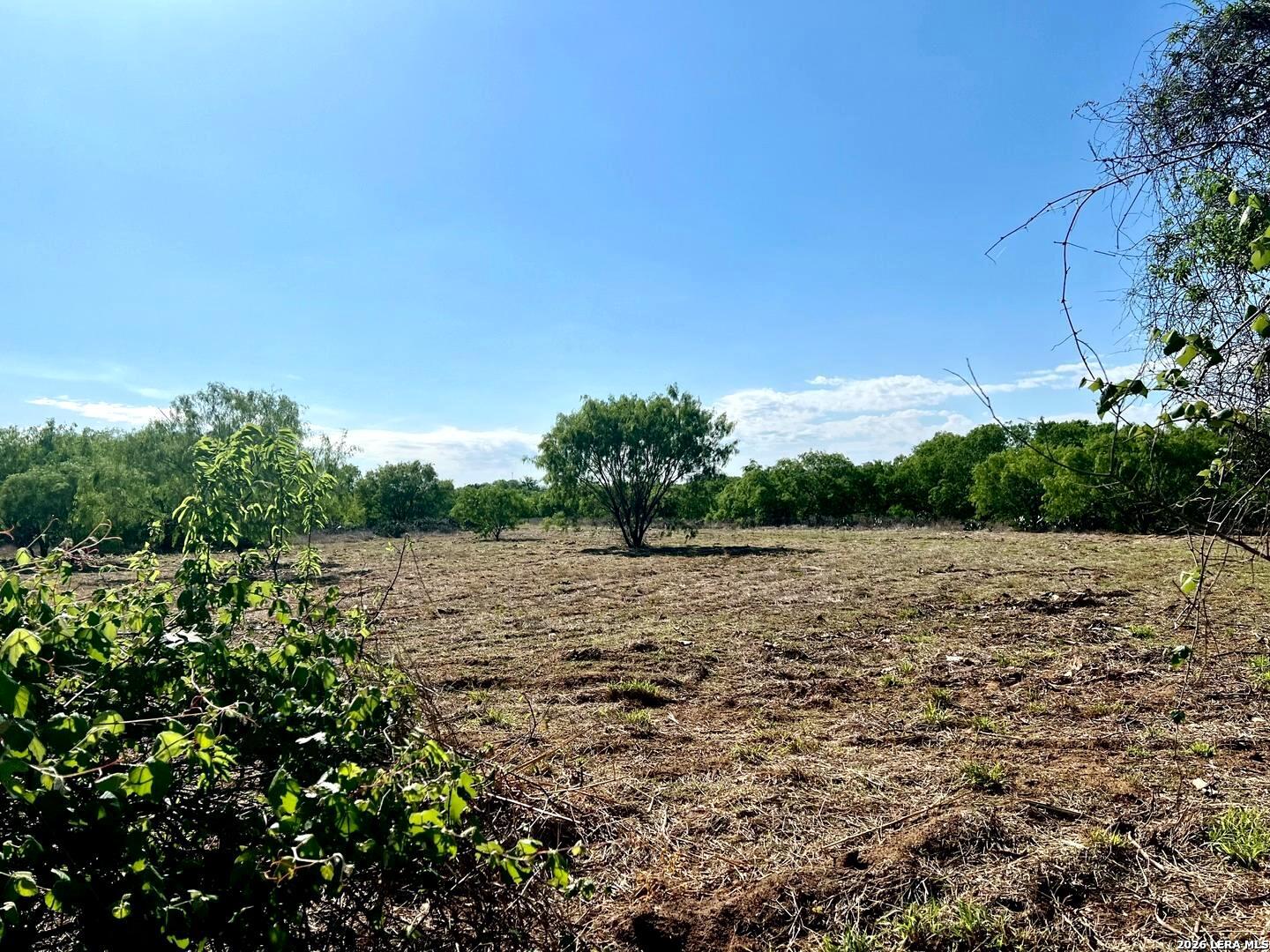 5967 Granato Road Poteet, TX 78065 - Photo 2 of 8