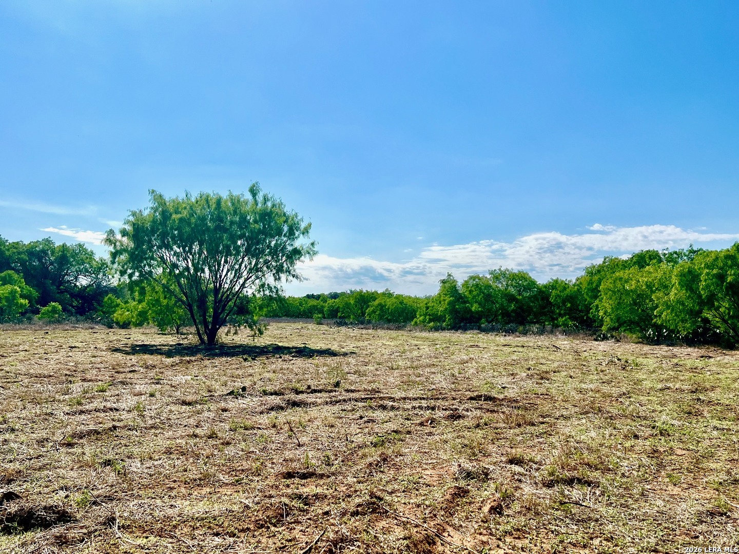 5967 Granato Road Poteet, TX 78065 - Photo 3 of 8