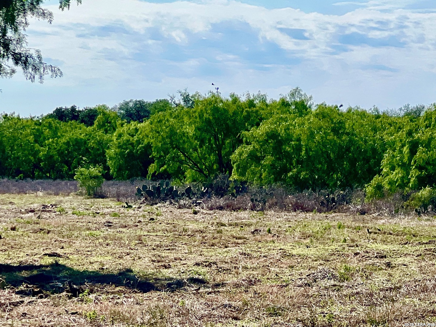 5967 Granato Road Poteet, TX 78065 - Photo 4 of 8