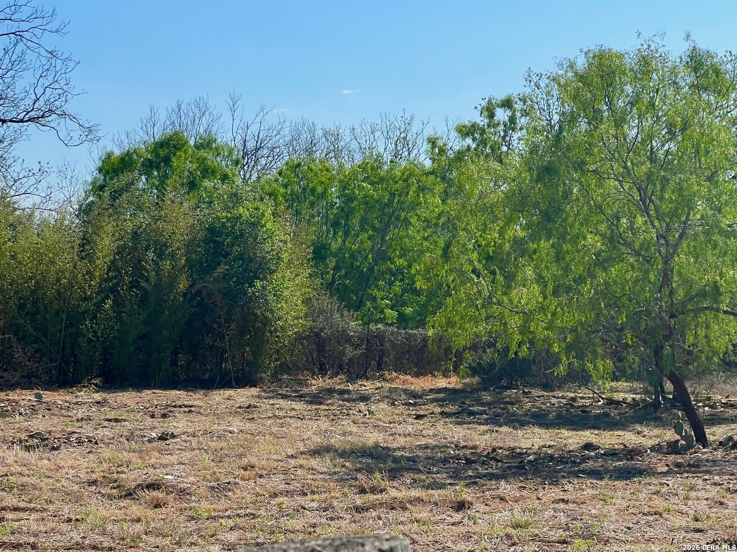 5967 Granato Road Poteet, TX 78065 - Photo 5 of 8