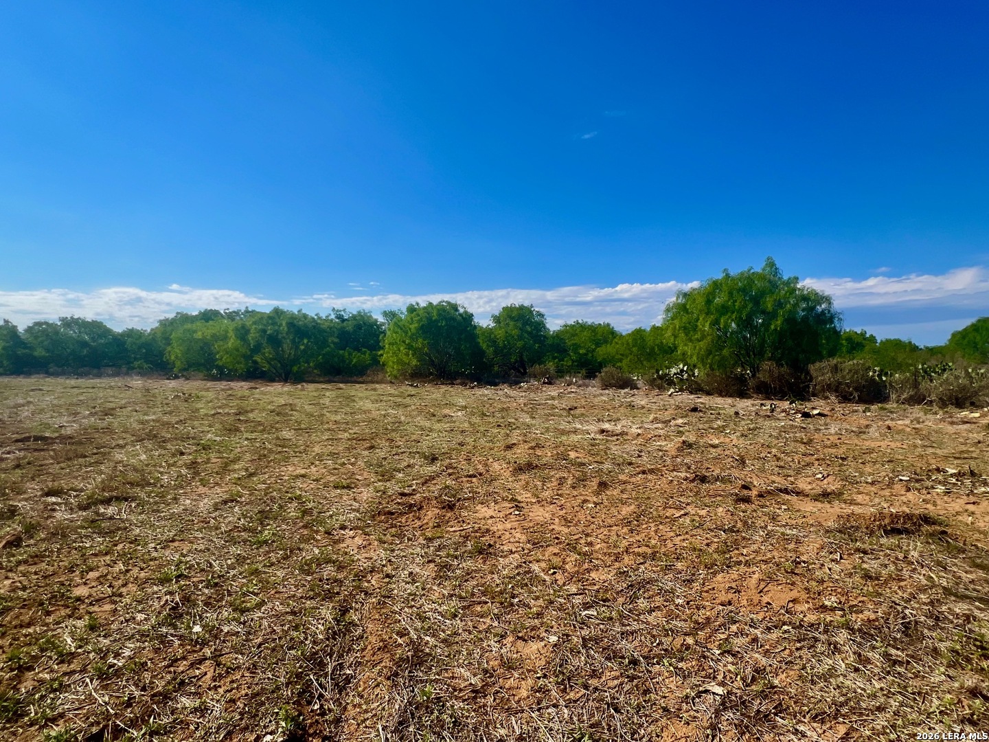 5967 Granato Road Poteet, TX 78065 - Photo 6 of 8