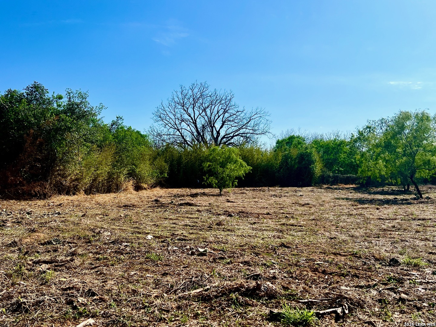 5967 Granato Road Poteet, TX 78065 - Photo 7 of 8