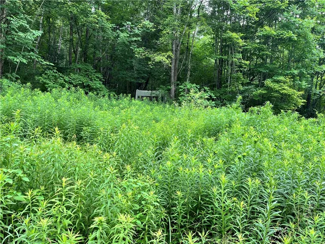 $64,000 | 0 Marvin Hollow Road, Walton, NY 13856