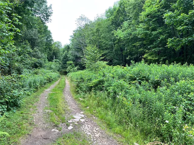 $64,000 | 0 Marvin Hollow Road, Walton, NY 13856