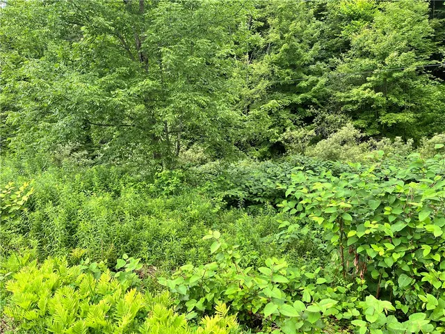 $64,000 | 0 Marvin Hollow Road, Walton, NY 13856