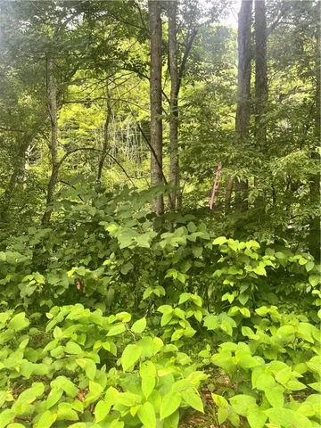 $64,000 | 0 Marvin Hollow Road, Walton, NY 13856