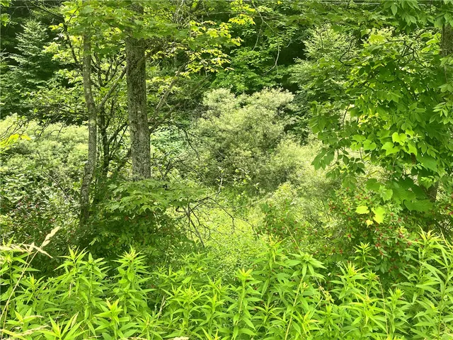 $64,000 | 0 Marvin Hollow Road, Walton, NY 13856