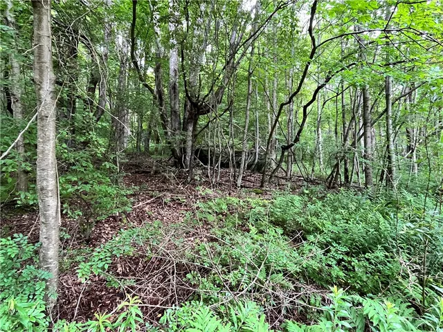 $64,000 | 0 Marvin Hollow Road, Walton, NY 13856