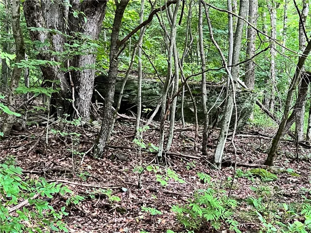 $64,000 | 0 Marvin Hollow Road, Walton, NY 13856