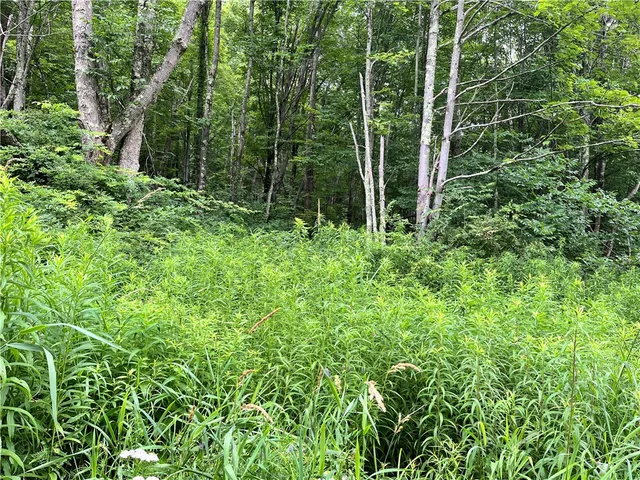 $64,000 | 0 Marvin Hollow Road, Walton, NY 13856