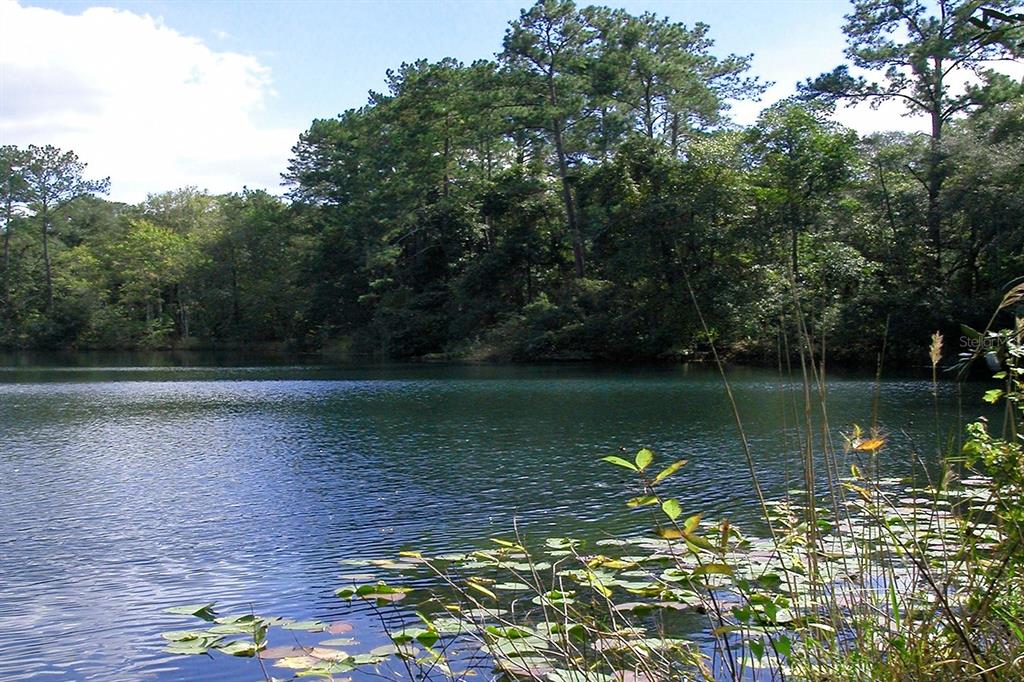 114 Dave Street Interlachen, FL 32148 - Photo 11 of 12