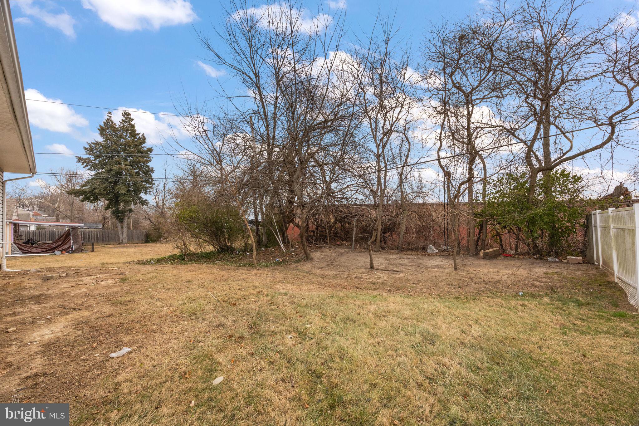 24 Bizarre Drive New Castle, DE 19720 - Photo 26 of 26 a backyard of a house with large trees