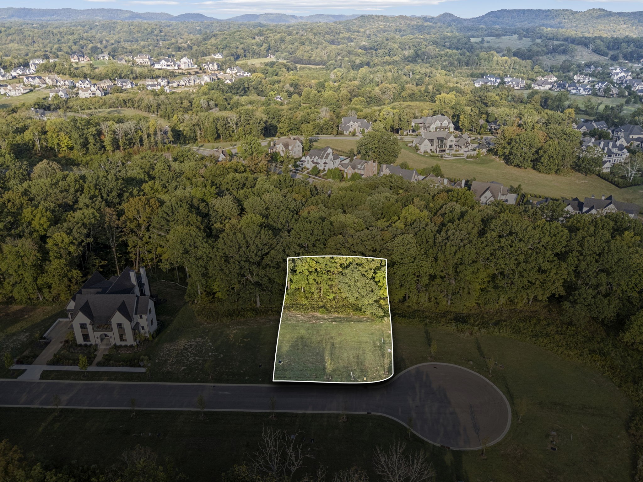 an aerial view of residential houses with outdoor space and trees