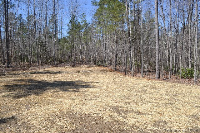 3555 Poplar Ridge Drive Gloucester, VA 23061 - Photo 12 of 15