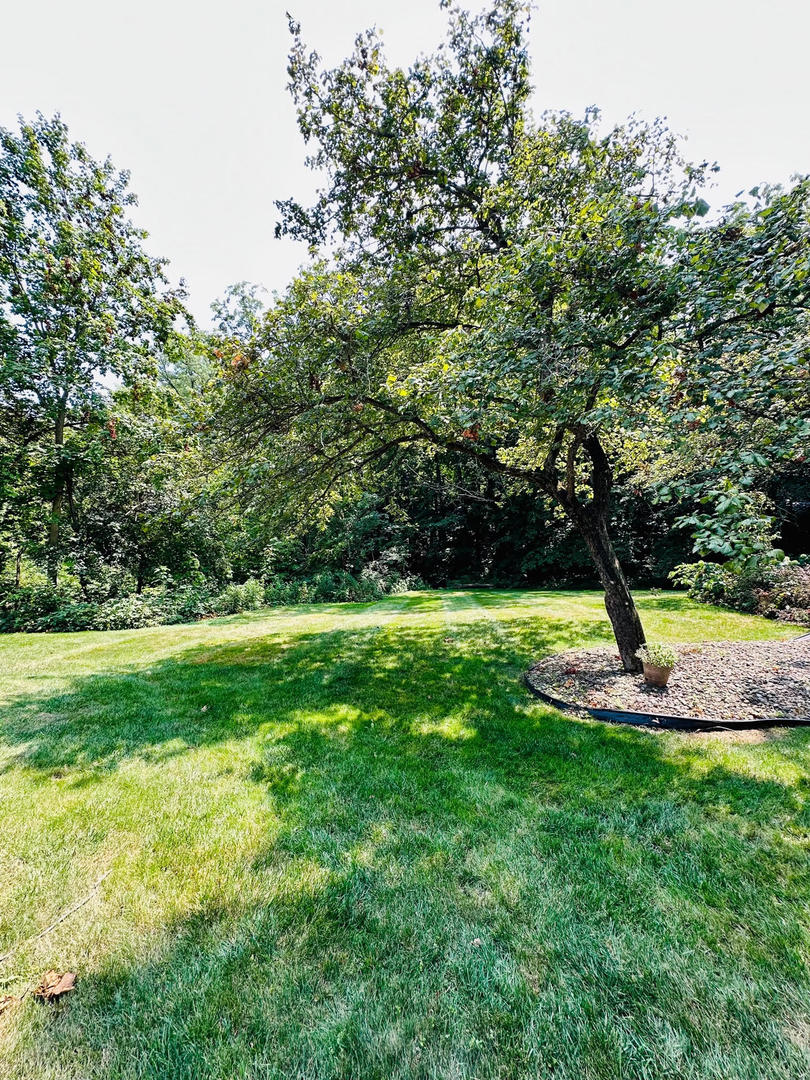 567 Aberdeen Road Frankfort, IL 60423 - Photo 64 of 75