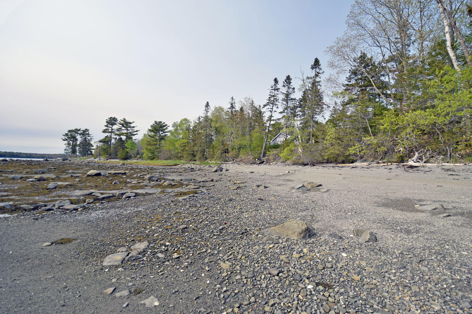 827 Bayside Road Ellsworth, ME 04605 - Photo 21 of 82 shore 11