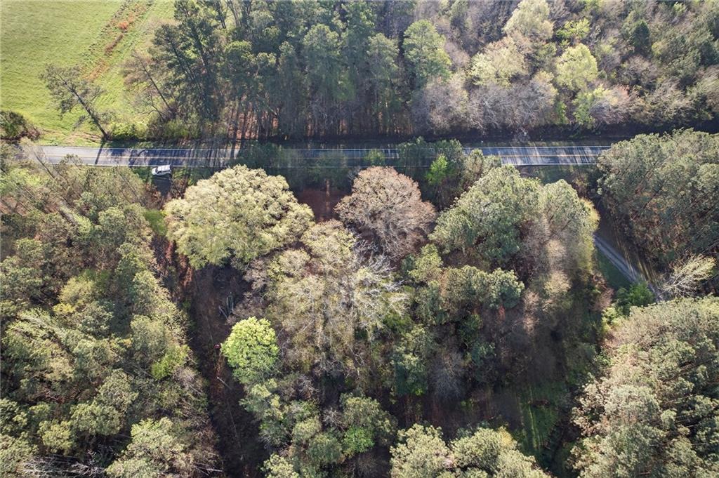 3230 Steadman Road Tallapoosa, GA 30176 - Photo 50 of 52 a view of a lake with lots of trees