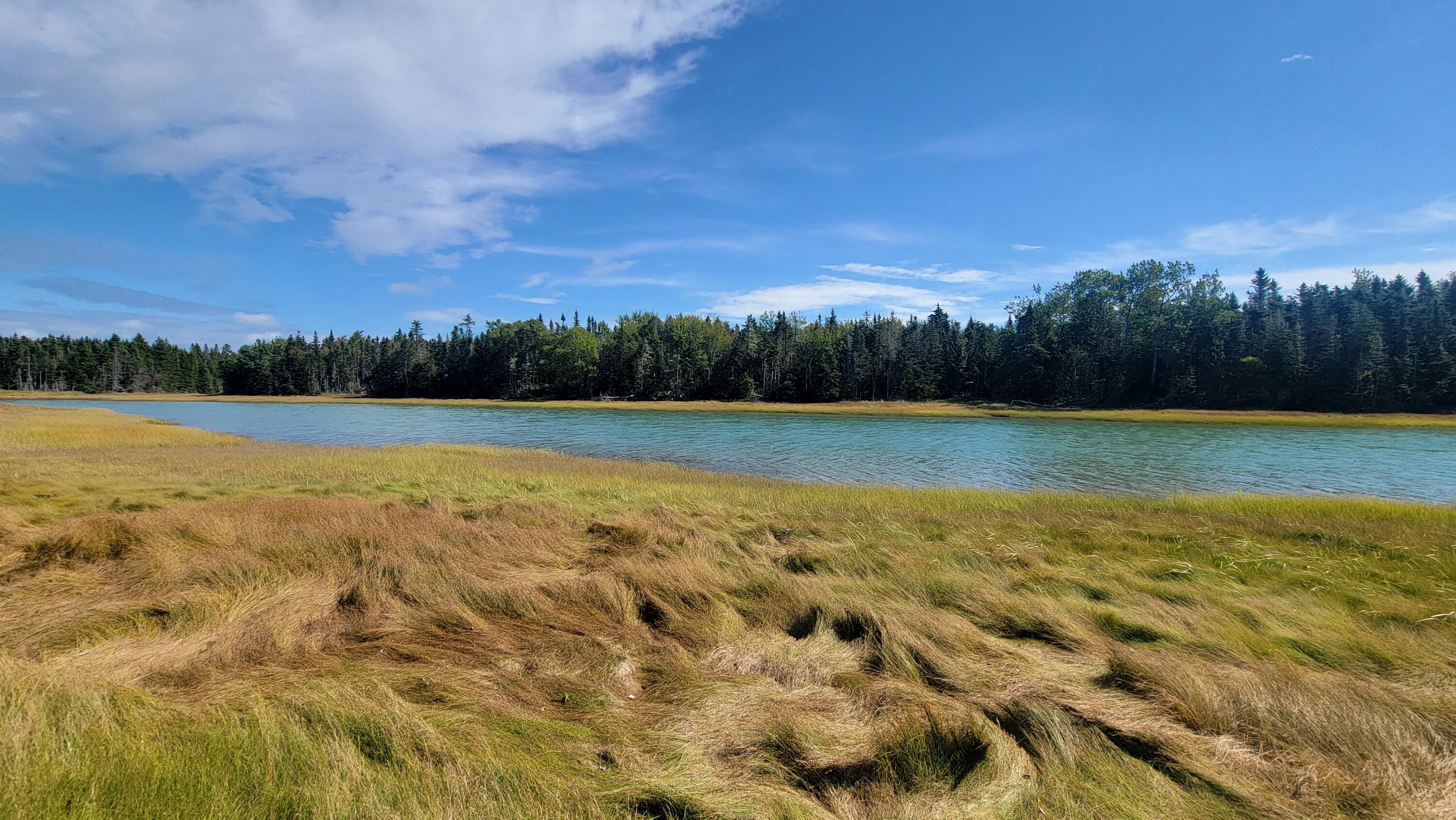 Lot 1-5 Evergreen Point Road Jonesboro, ME 04648 - Photo 11 of 30 Tide Mill Creek View