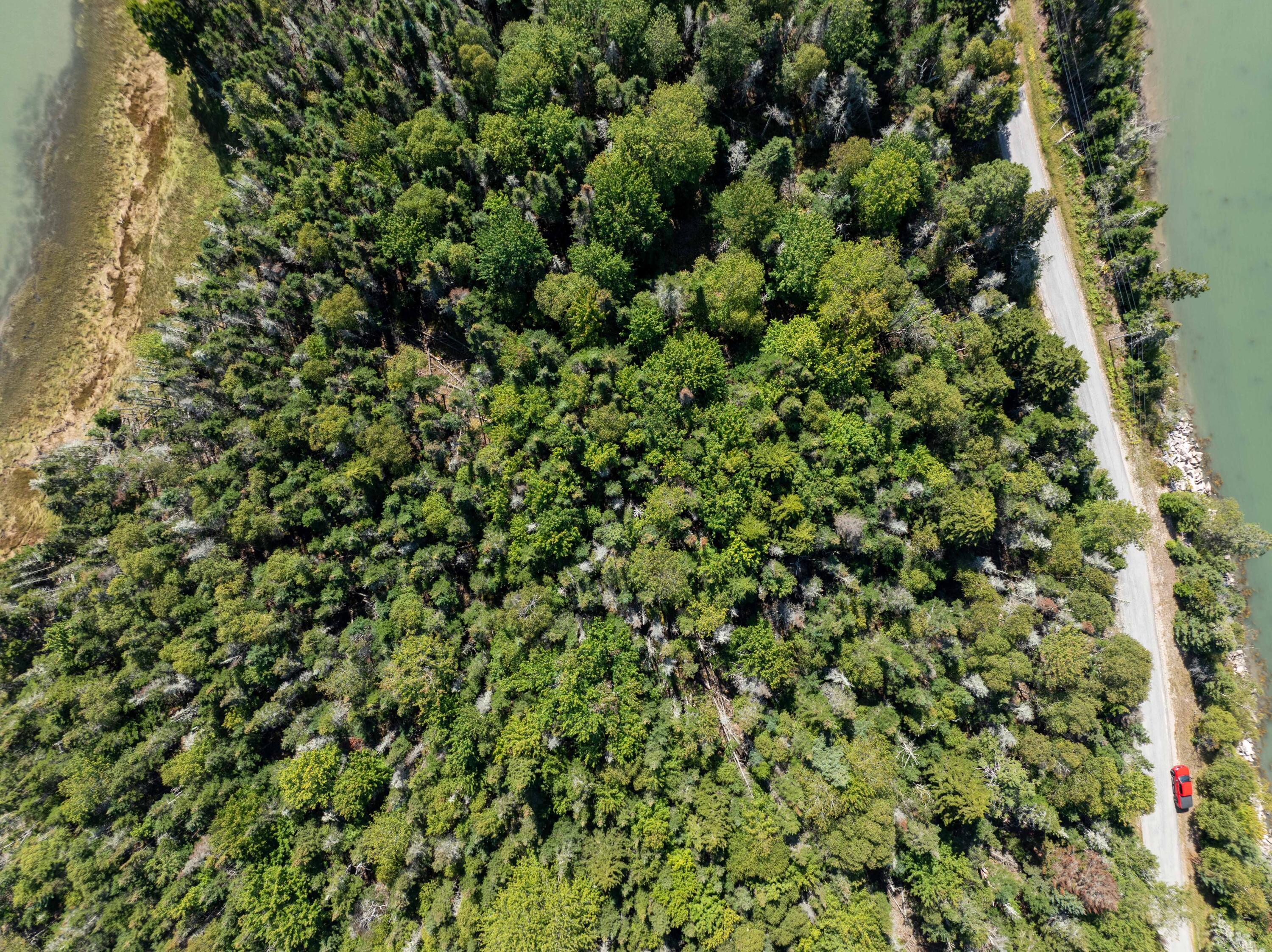 Lot 1-5 Evergreen Point Road Jonesboro, ME 04648 - Photo 25 of 30 lot 1 and lot 5 Evergreen Point Rd, Jone