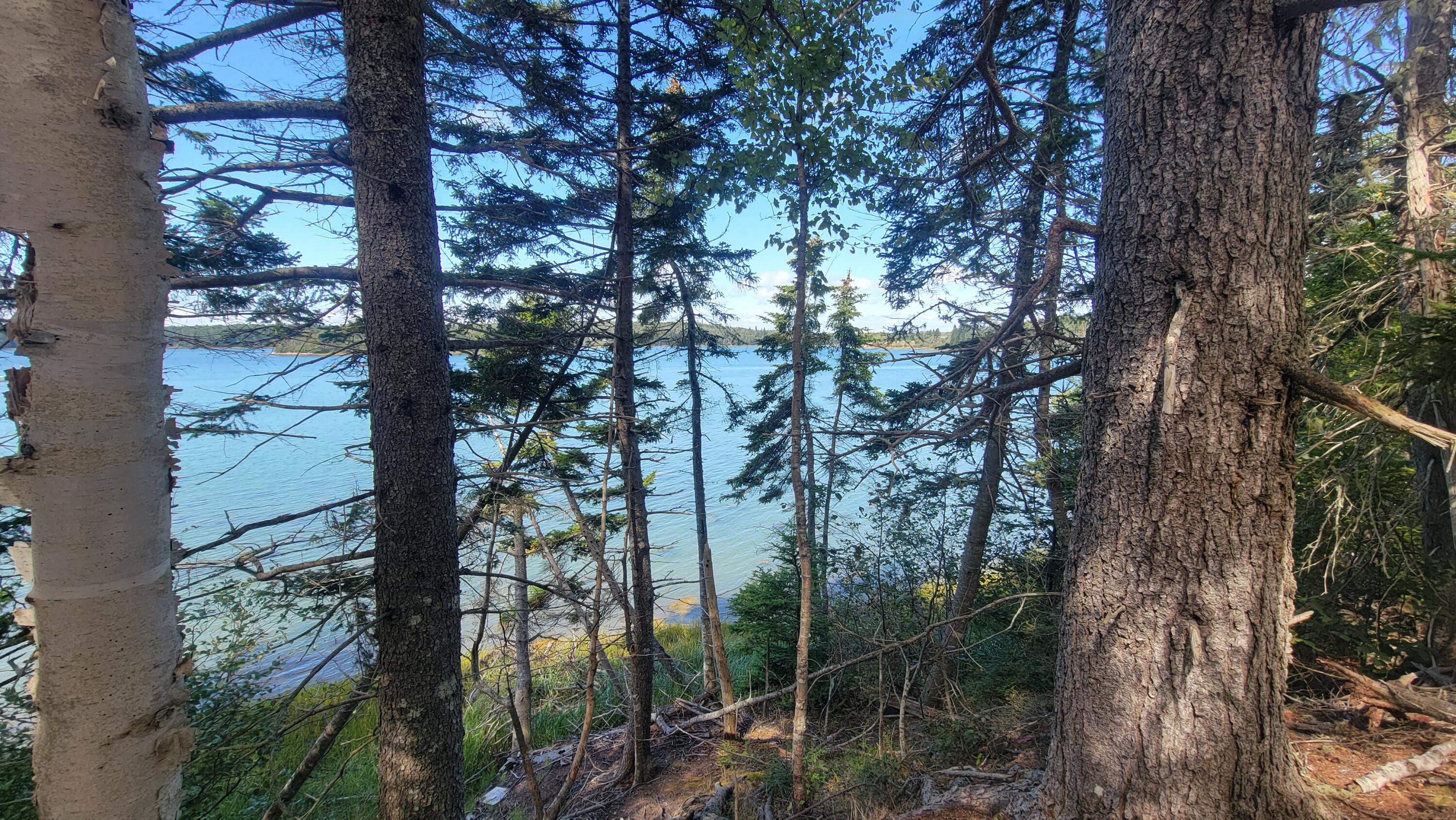 Lot 1-5 Evergreen Point Road Jonesboro, ME 04648 - Photo 7 of 30 Chandler River View