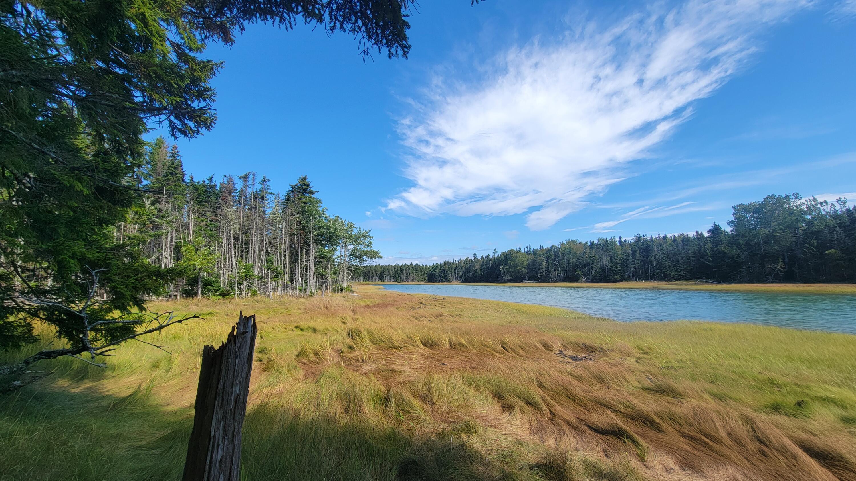 Lot 1-5 Evergreen Point Road Jonesboro, ME 04648 - Photo 8 of 30 Tide Mill Creek