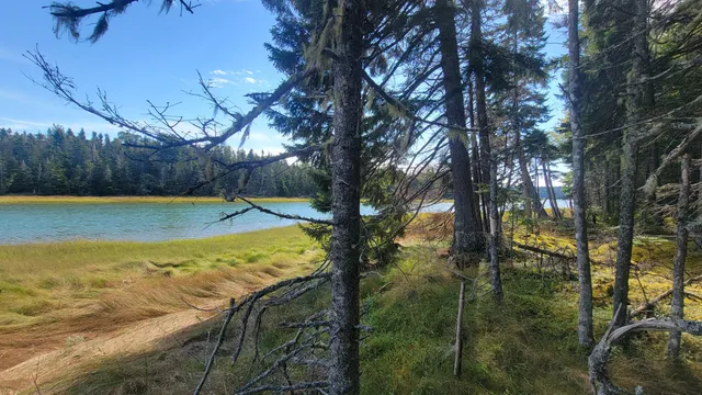 $294,000 | Lot 1-5 Evergreen Point Road, Jonesboro, ME 04648