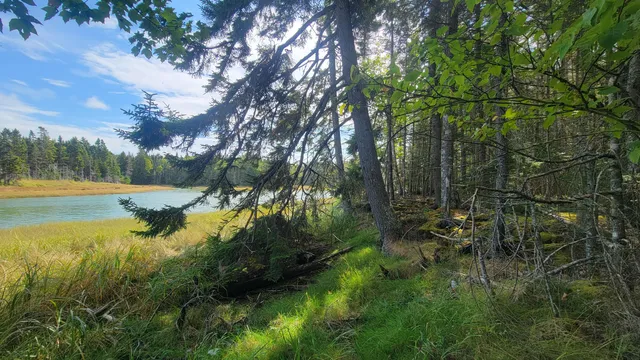 $294,000 | Lot 1-5 Evergreen Point Road, Jonesboro, ME 04648